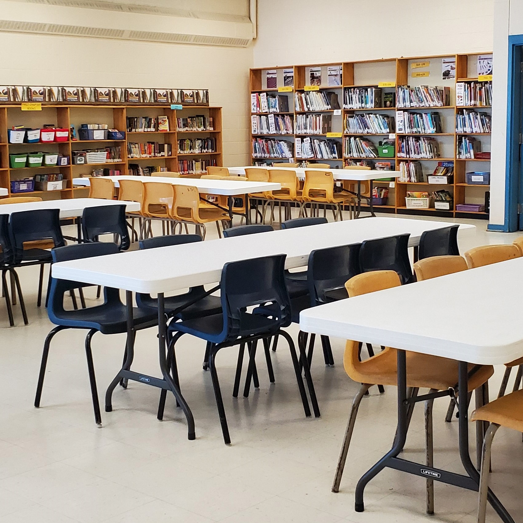 Council Update: School Libraries, Extra Floors, M District