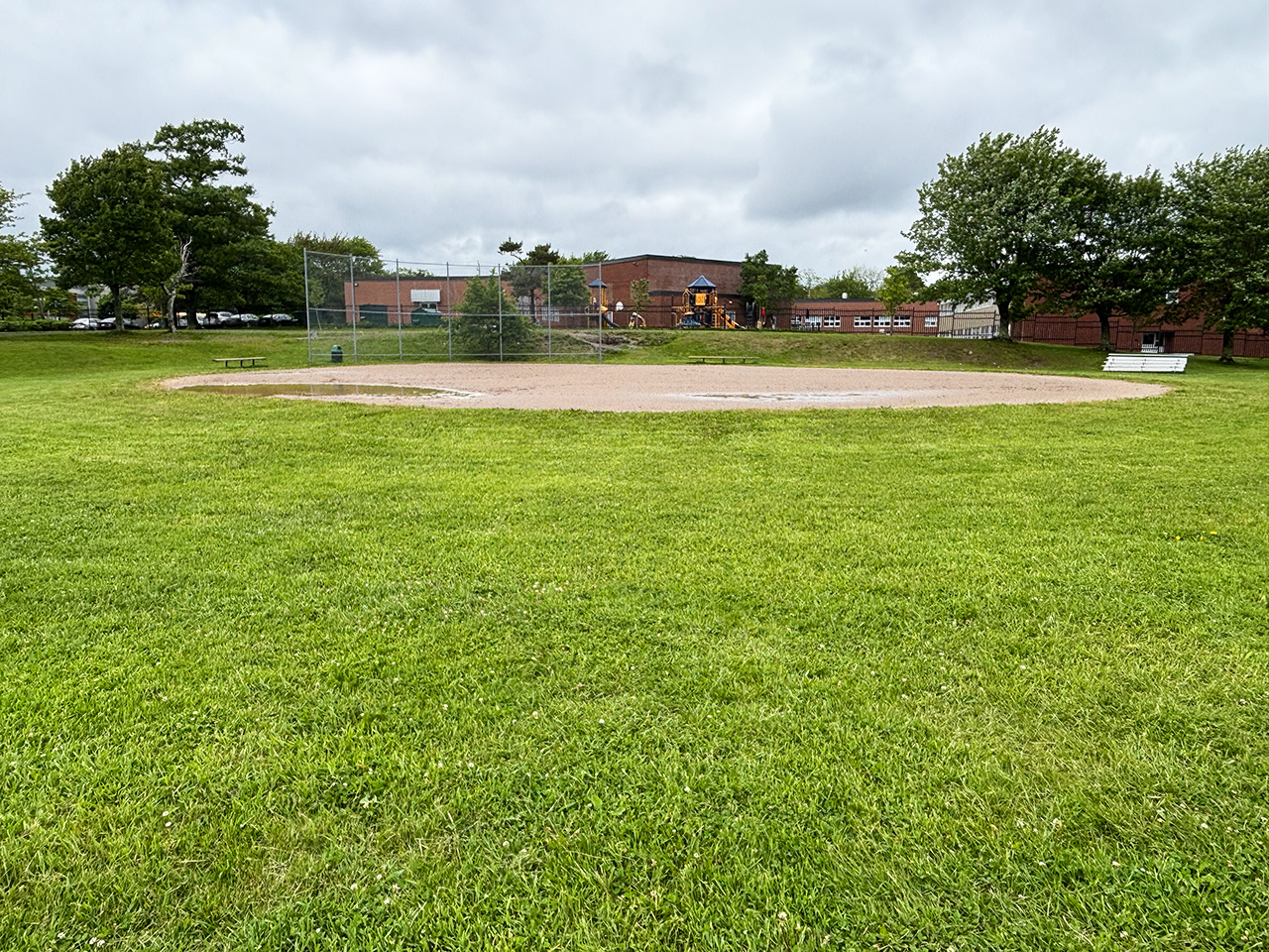 Council Update: Dartmouth Common Cricket, Pinecrest Housing